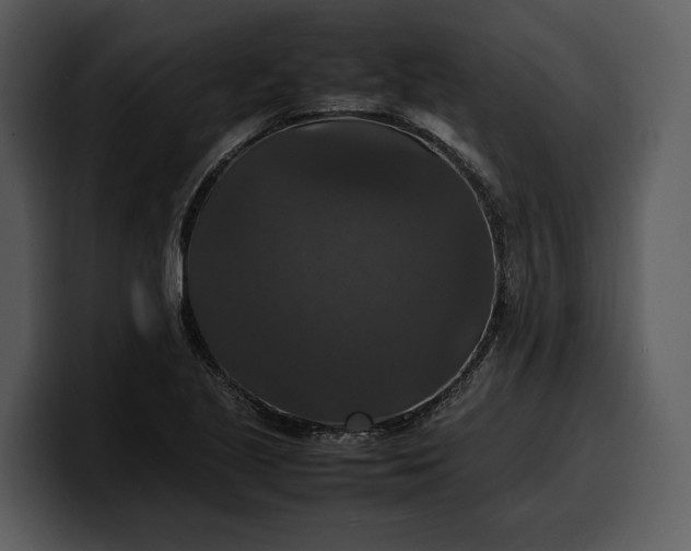 X0000100311221200806190935