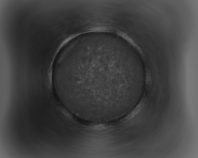 X0000100311222200806190935