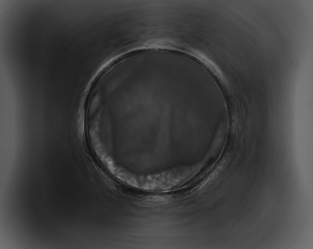 X0000100311224200806190936