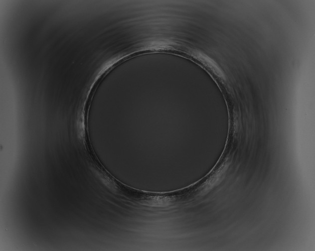 X0000100311226200806190936