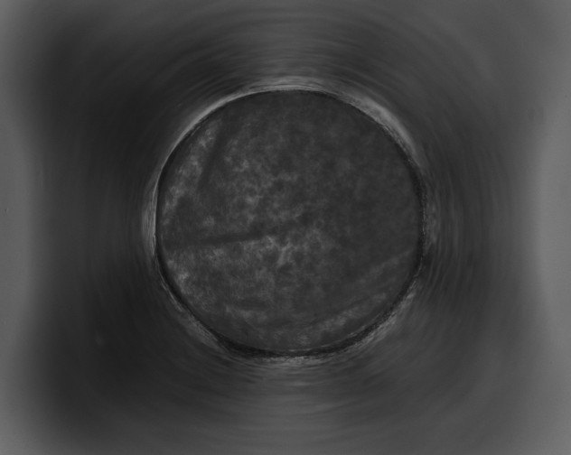 X0000100311228200806190936