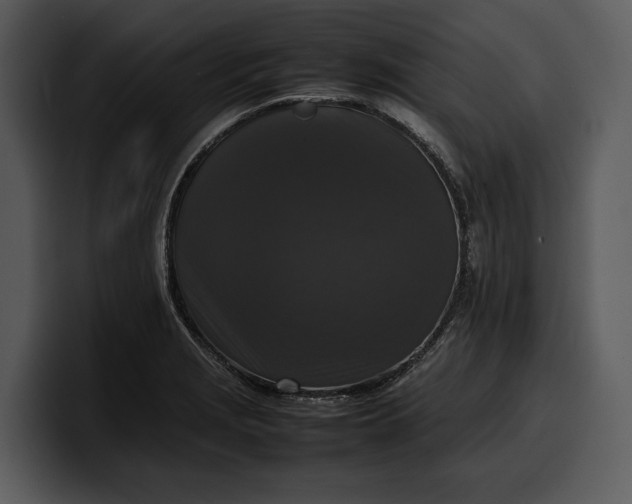 X0000100311229200806190936