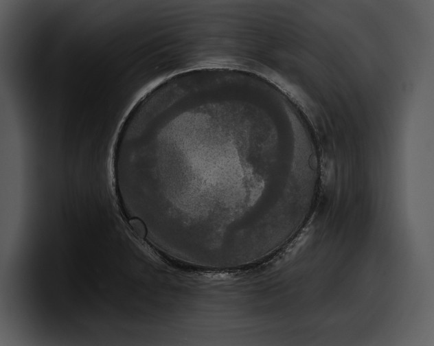 X0000100311230200806190936