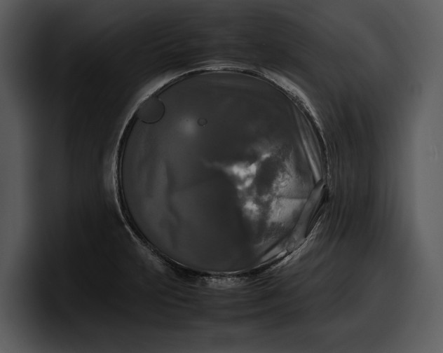 X0000100311231200806190936