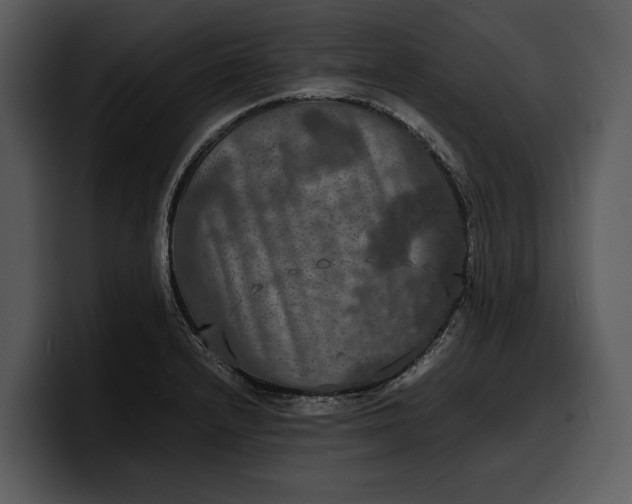 X0000100311232200806190936
