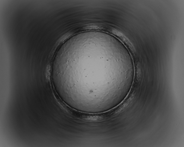 X0000100311233200806190936