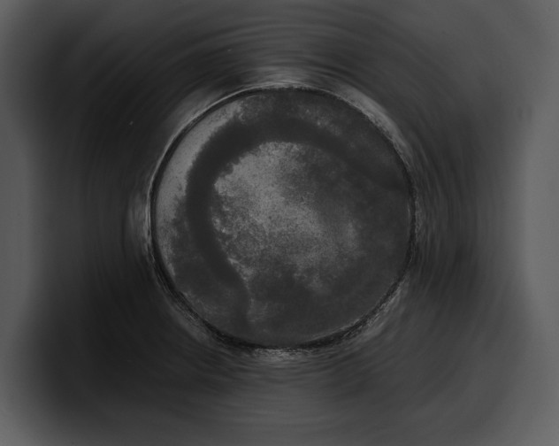 X0000100311234200806190936