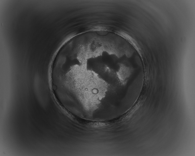 X0000100311235200806190936