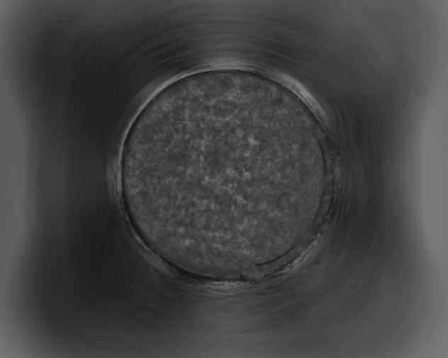 X0000100311236200806190936