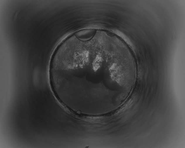 X0000100311237200806190936
