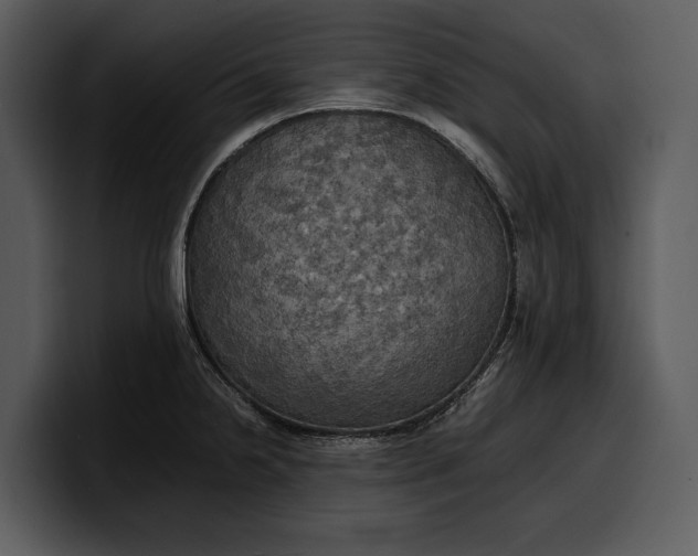 X0000100311238200806190936