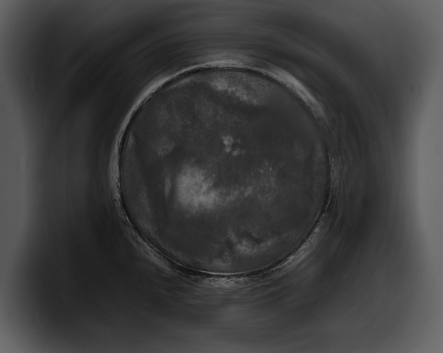 X0000100311240200806190936
