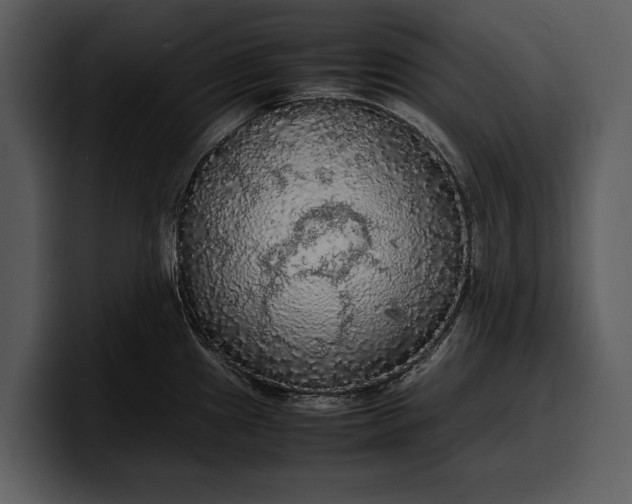 X0000100311241200806190936