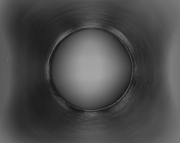 X0000100311242200806190936