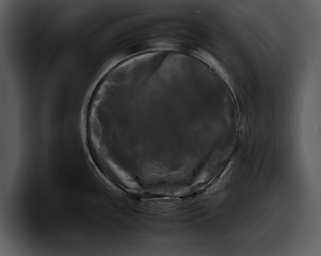 X0000100311243200806190936
