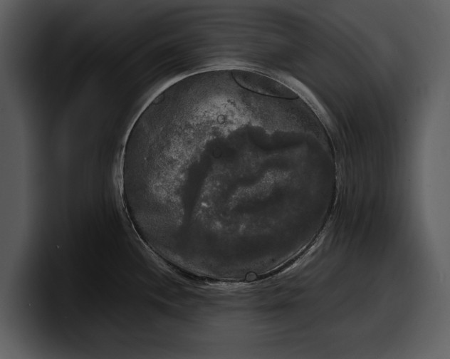 X0000100311244200806190936