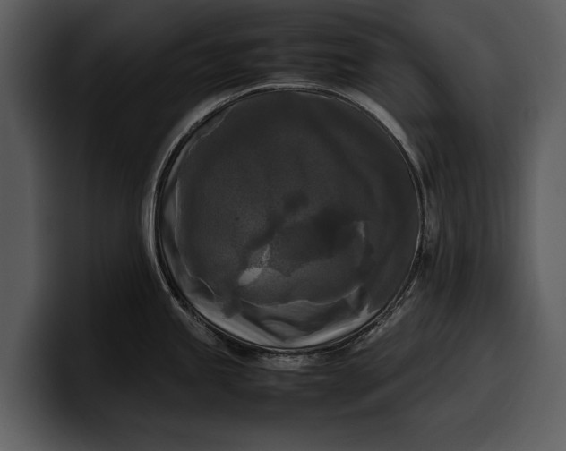 X0000100311245200806190936