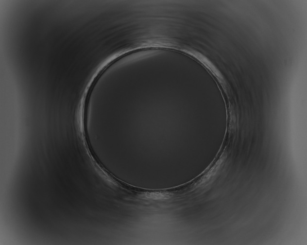 X0000100311246200806190936