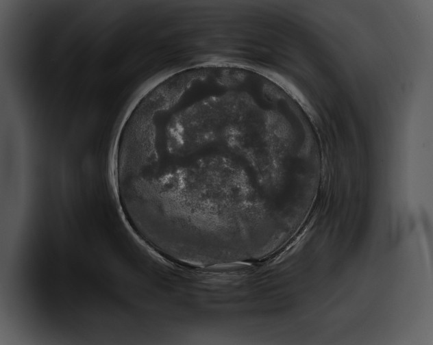 X0000100311247200806190936