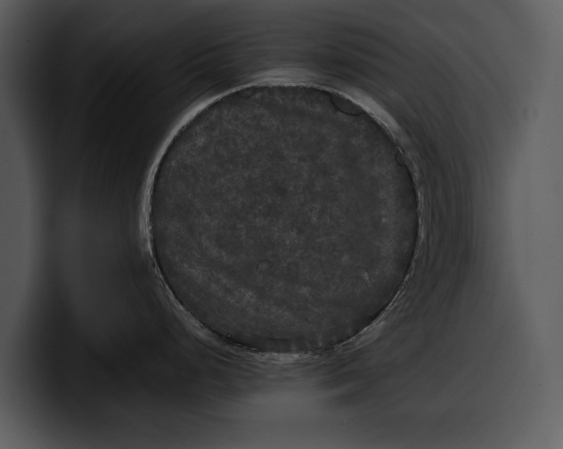 X0000100311248200806190936