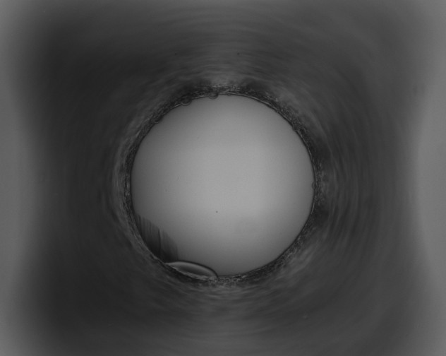 X0000100311249200806190935
