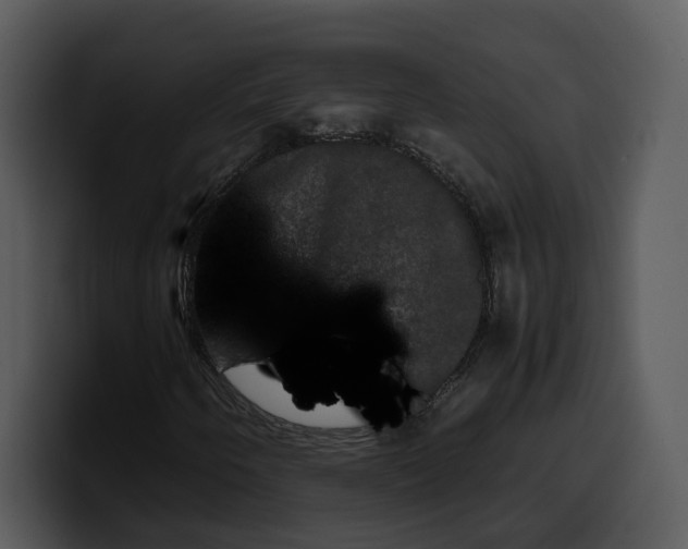 X0000100311250200806190935