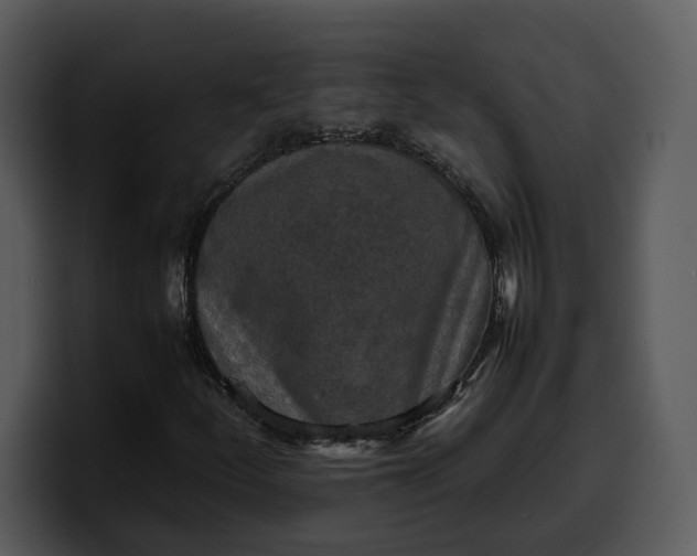 X0000100311252200806190935