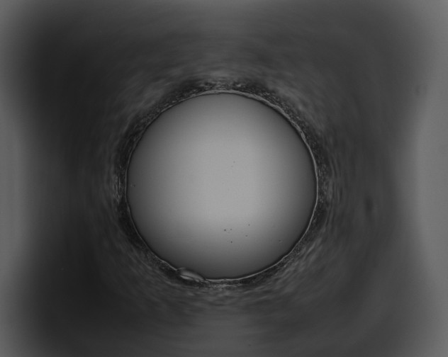 X0000100311253200806190935