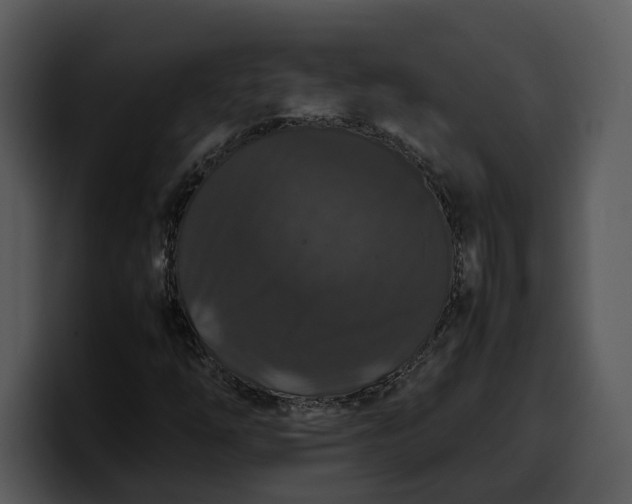 X0000100311254200806190935