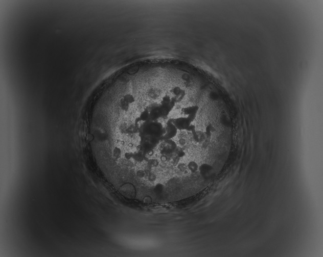 X0000100311255200806190935