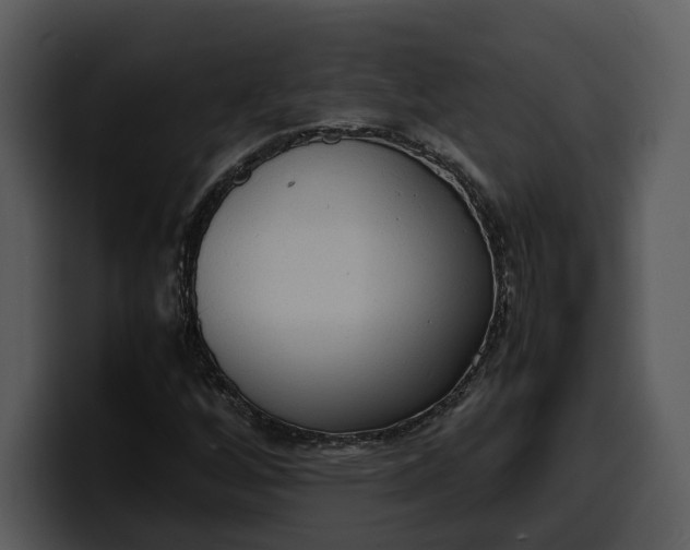 X0000100311256200806190935