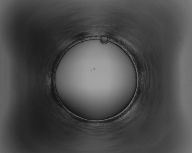 X0000100311257200806190935