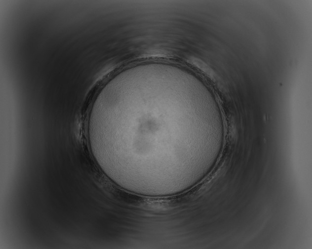 X0000100311258200806190935