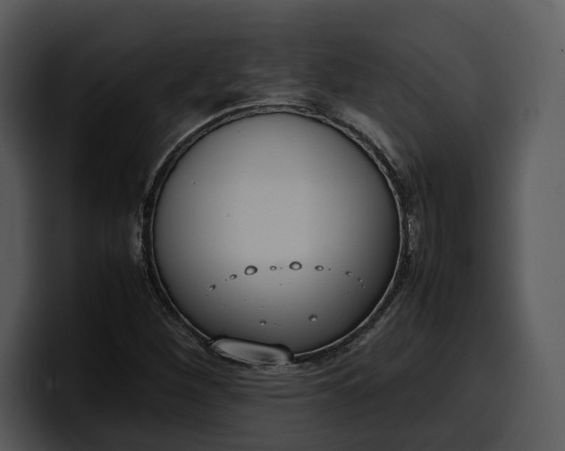 X0000100311260200806190935
