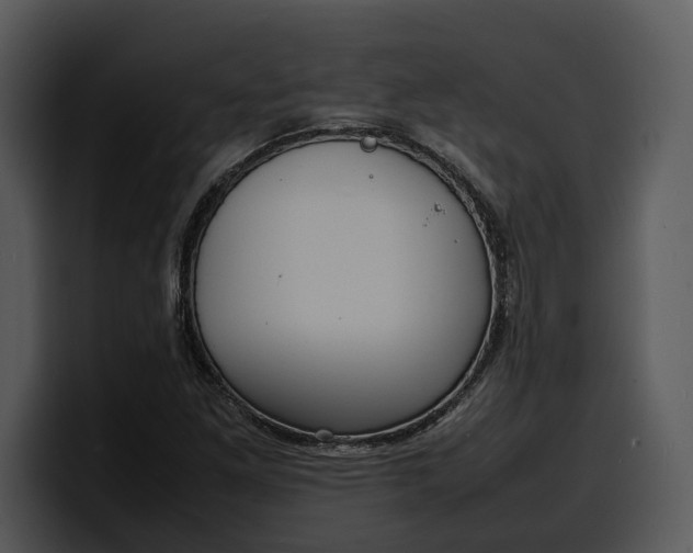 X0000100311261200806190935
