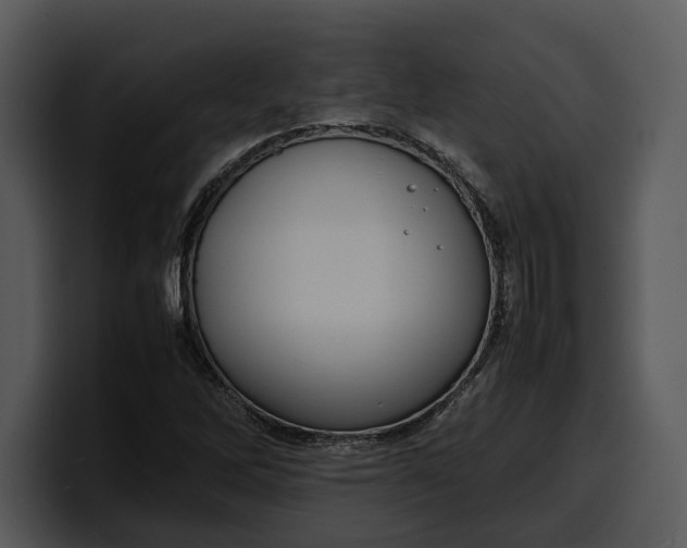 X0000100311262200806190935