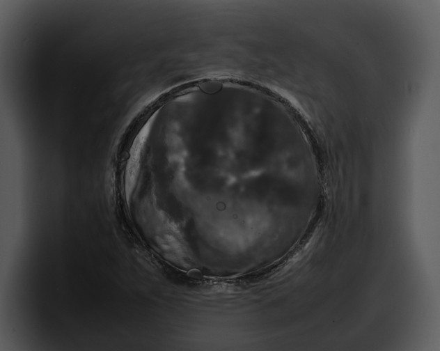 X0000100311263200806190935