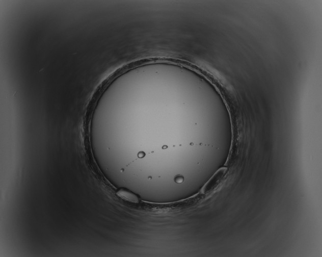 X0000100311264200806190935