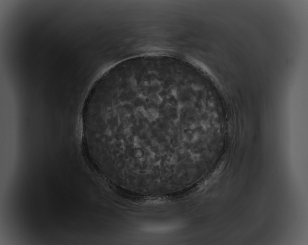 X0000100311267200806190935