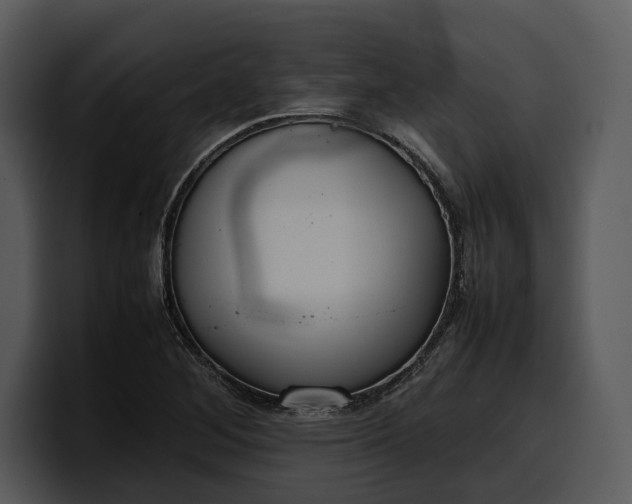 X0000100311268200806190935