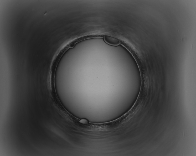 X0000100311270200806190935