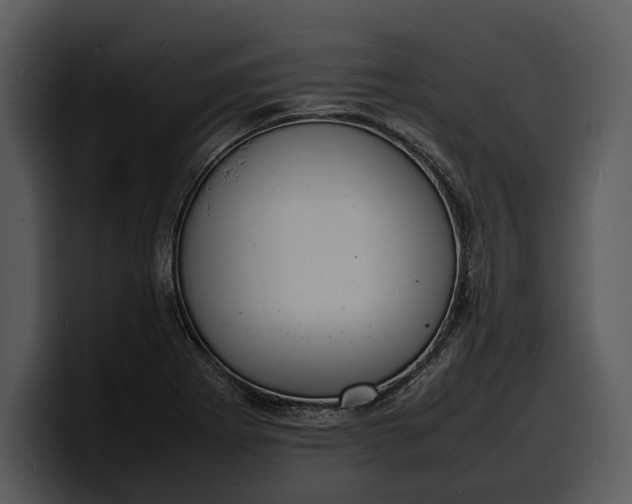 X0000100311273200806190935