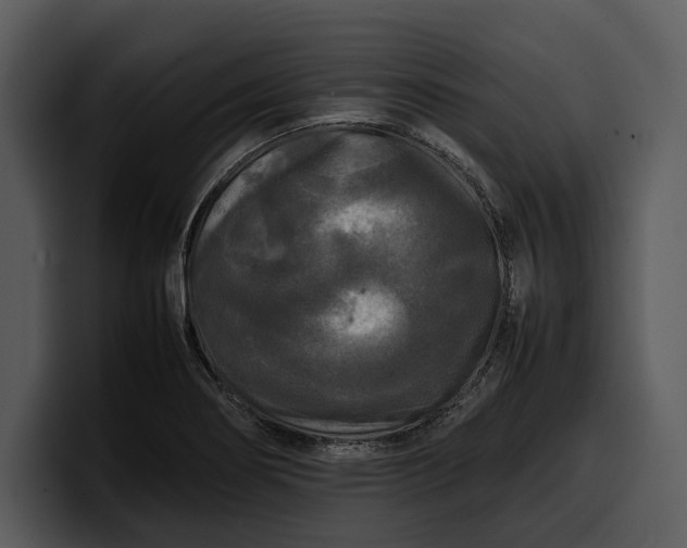 X0000100311274200806190935