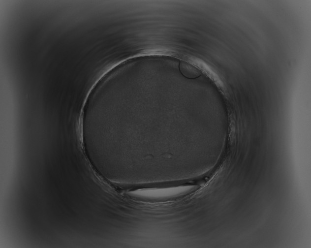 X0000100311276200806190935