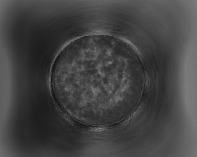 X0000100311278200806190935