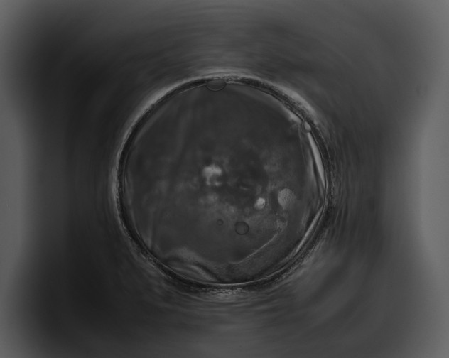 X0000100311279200806190935