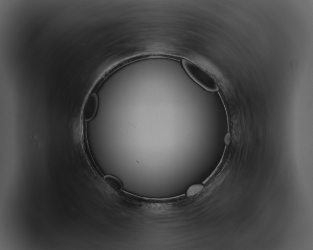 X0000100311280200806190935