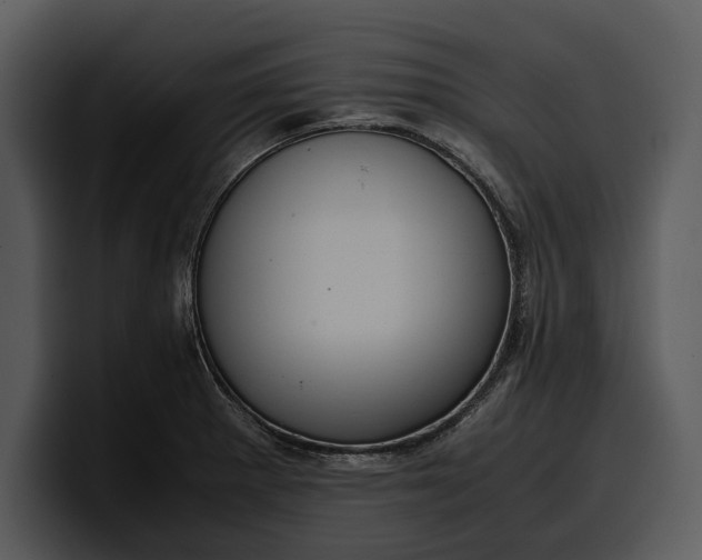 X0000100311281200806190935