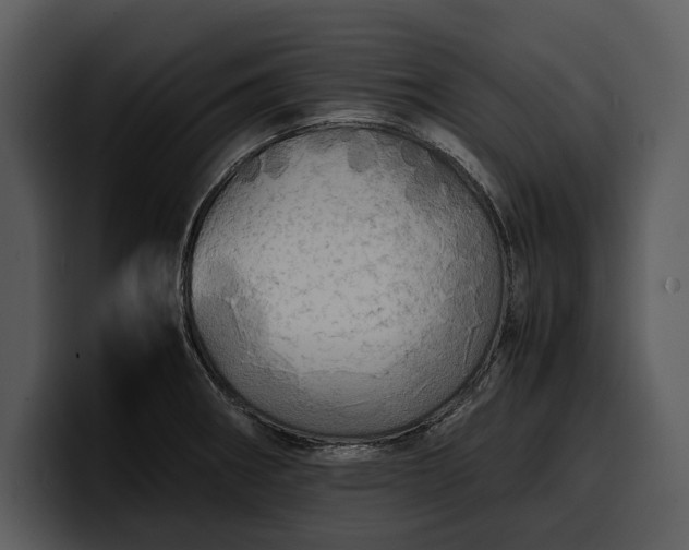 X0000100311282200806190935