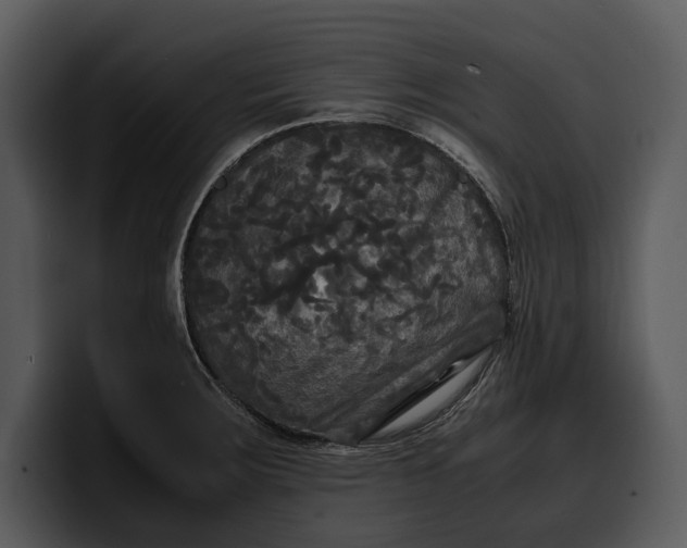 X0000100311283200806190935
